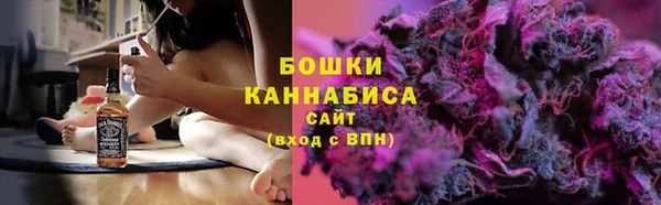 крисы Горнозаводск