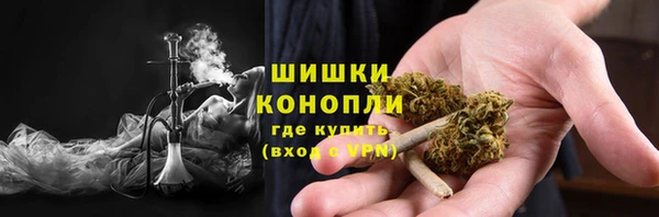 крисы Горнозаводск