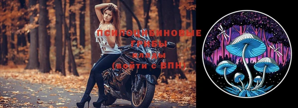 крисы Горнозаводск