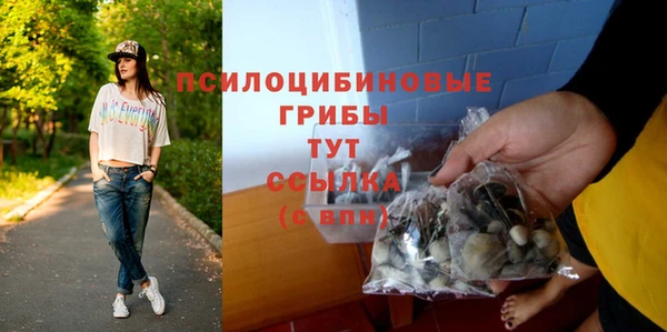 крисы Горнозаводск