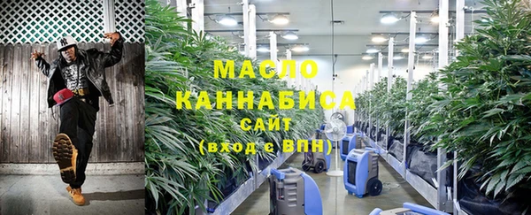 тгк Нея