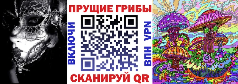 Галлюциногенные грибы MAGIC MUSHROOMS  купить   mega зеркало  Озёрск 